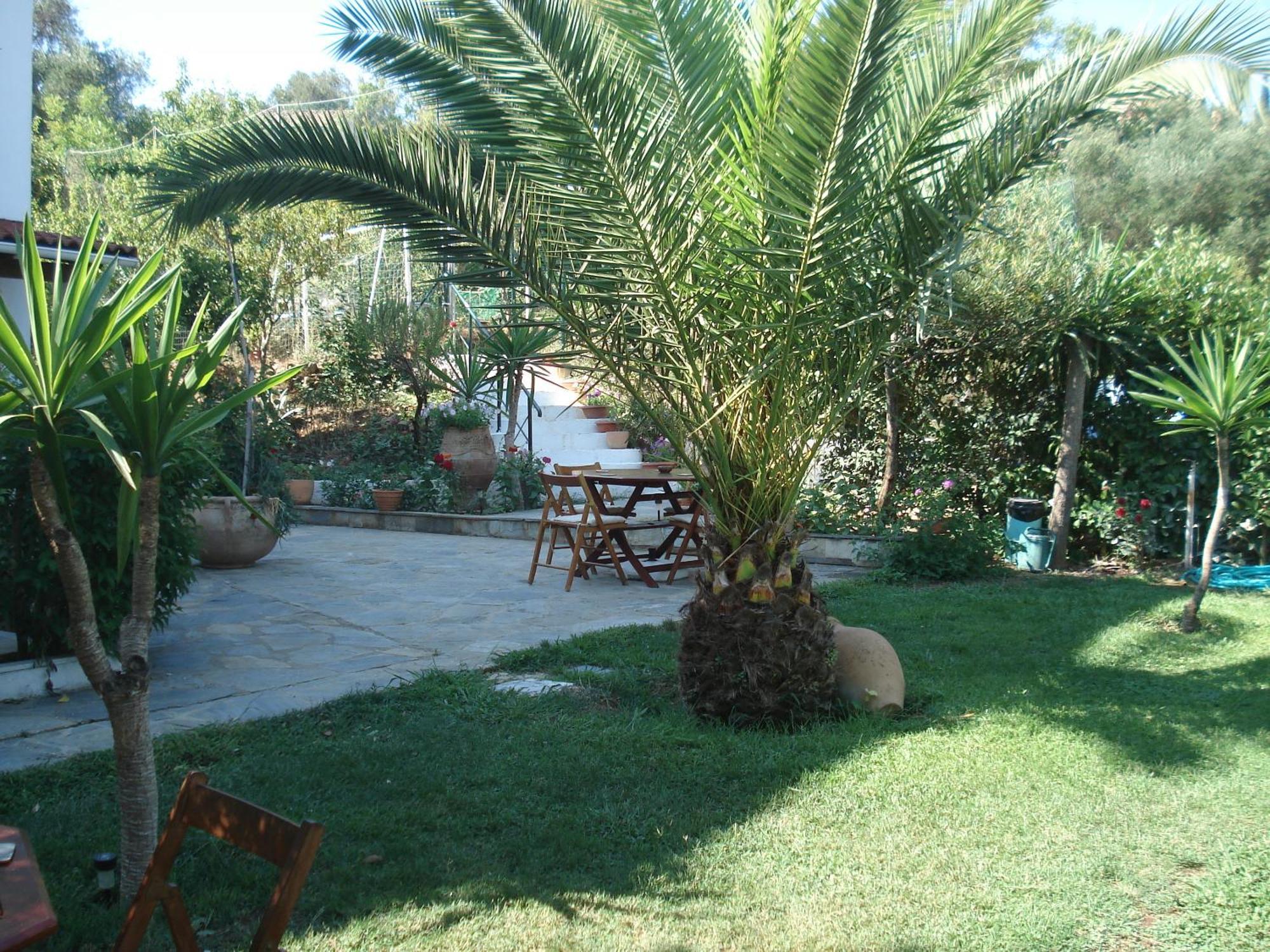 ذيسْخا Villa Avra المظهر الخارجي الصورة